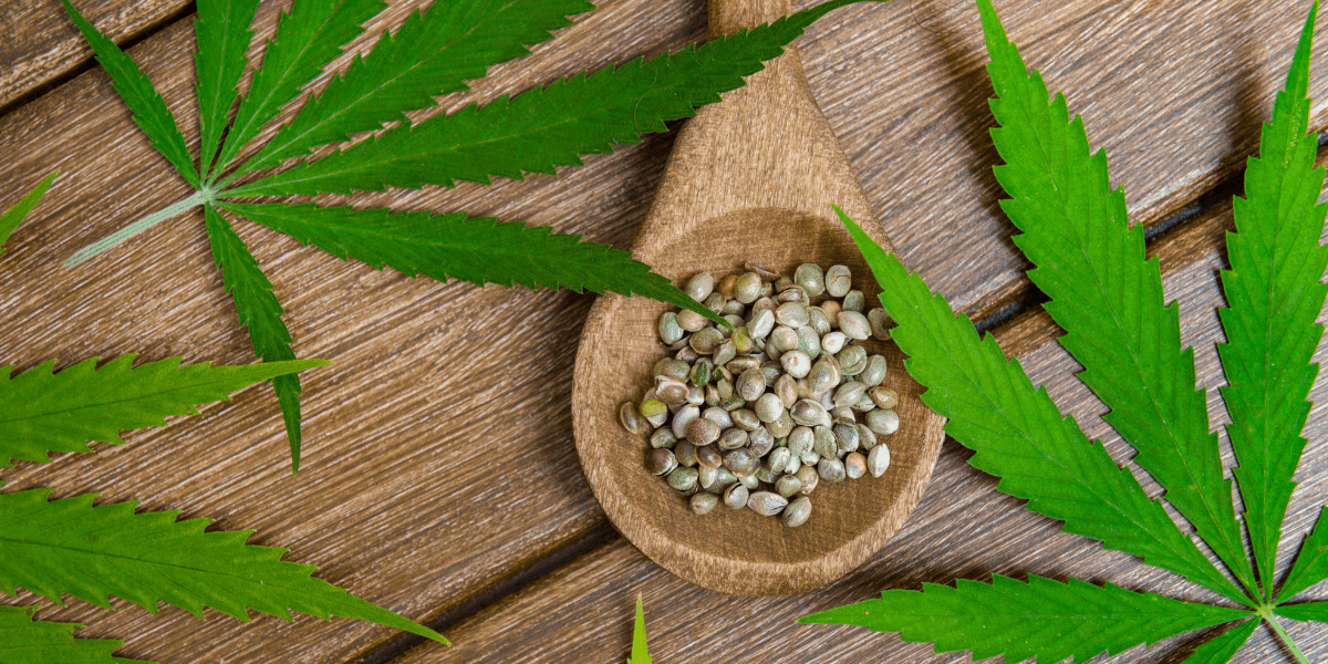 THC Free Shipping on Premium Cannabis Alternative Products